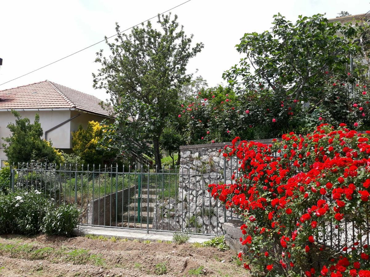 아제롤라 Bb Santalucia B&B 외부 사진
